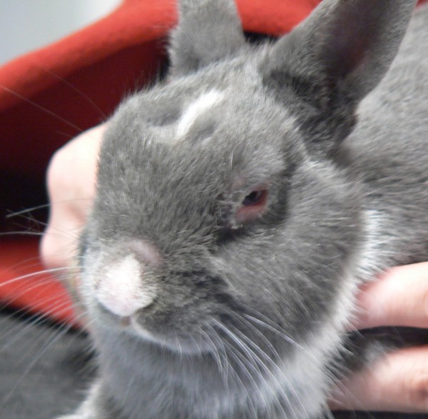 587554b2c1ea86a6b0bc8103e373500e